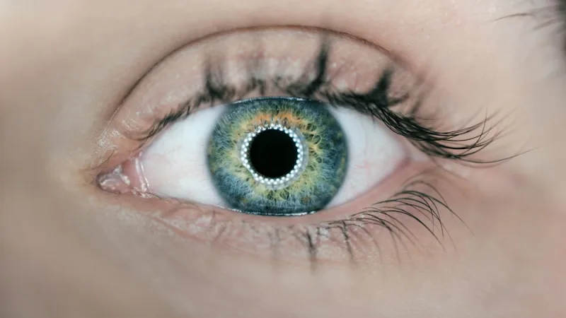 Chalazion & Stye Management
