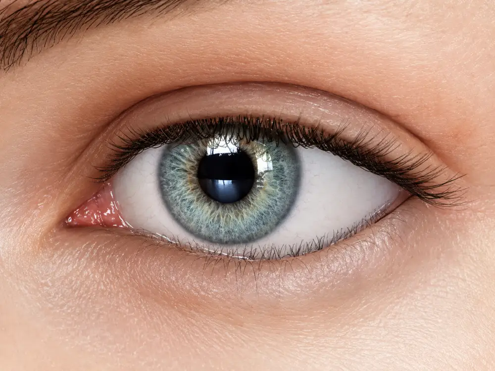 Entropion and Ectropion surgery
